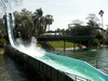 Busch Gardens Tampa